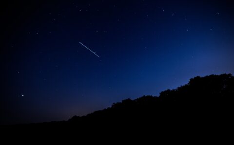 lamna-the-shark-yoEMDhSV_kE-unsplash